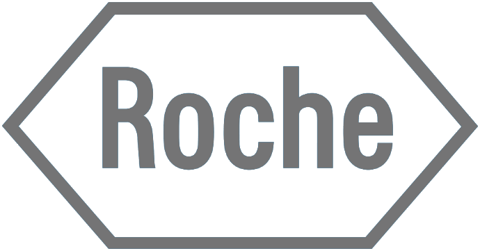 ROCHE ROCHE